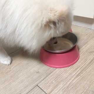 jisun3392님이 올린 리뷰 사진 2