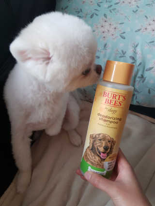 꼬냥꼬냥님이 올린 리뷰 사진 1