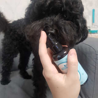 코지독 카밍스프레이 100ml — 5점을 준 리뷰어가 2020년 5월 올린 사용 사진