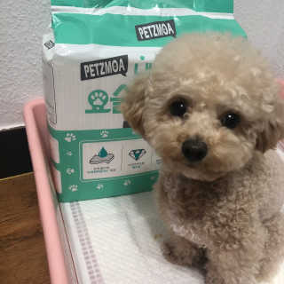 se0ngsu님이 올린 리뷰 사진 2