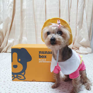 솜희님이 올린 리뷰 사진 1