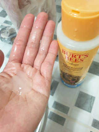 고롸고롸고롸님이 올린 리뷰 사진 4