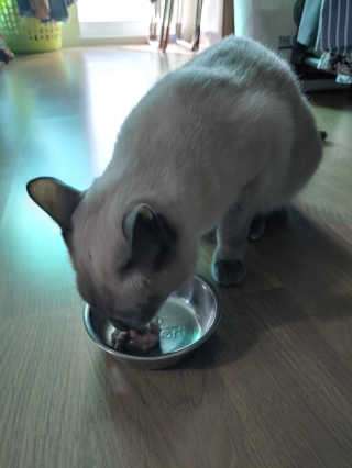 만만이집사님이 올린 리뷰 사진 3