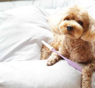 윤디캔디님이 올린 리뷰 사진 1