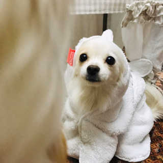 쏭블리님이 올린 리뷰 사진 1