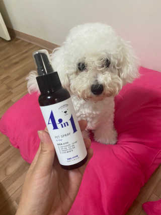 강아지스토리 포인원 모이스처 미스트 100ml — 4.5점을 준 리뷰어가 2020년 6월 올린 사용 사진