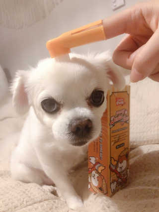 designerjoo님이 올린 리뷰 사진 3