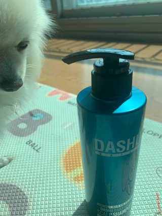 다슈코리아 다슈 데일리 패스트 한방 두피 샴푸 500ml — 4.5점을 준 리뷰어가 2020년 4월 올린 사용 사진