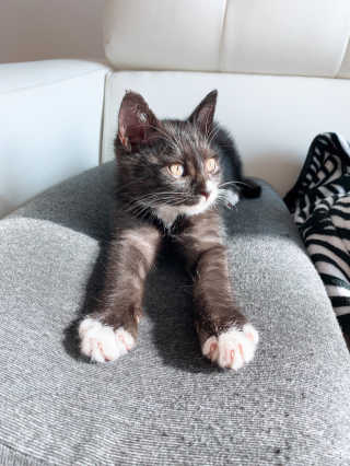 오둥이맘님이 올린 리뷰 사진 3