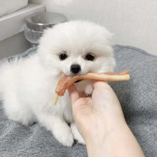 콩두부자매님이 올린 리뷰 사진 2