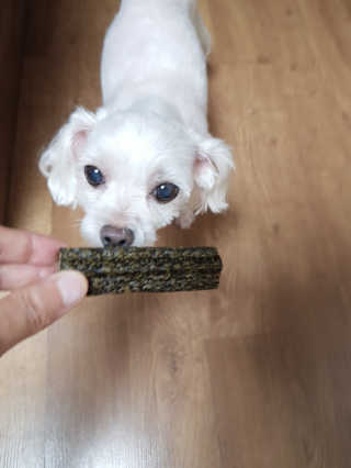 영지버섯님이 올린 리뷰 사진 2