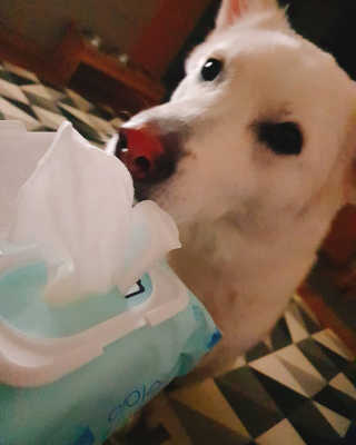 딸랑구둘🥰님이 올린 리뷰 사진 1