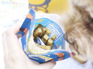 최정임님이 올린 리뷰 사진 4