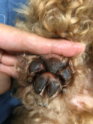 지슬어멍님이 올린 리뷰 사진 3