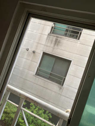 bominnnn님이 올린 리뷰 사진 1