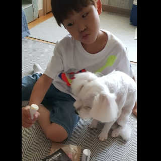 에스힐드님이 올린 리뷰 사진 2