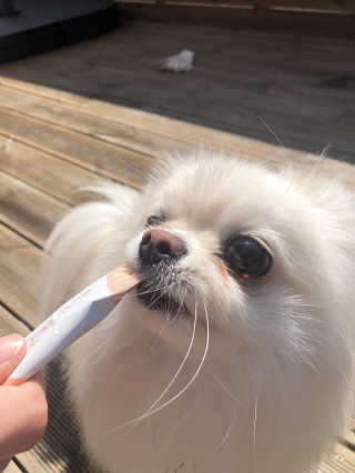 itsnotsobad님이 올린 리뷰 사진 2