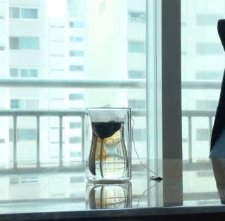 이송희님이 올린 리뷰 사진 4
