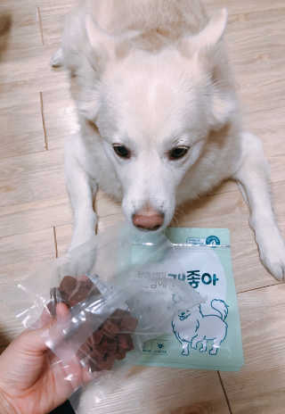 My Pet Care 천연단백질 눈건강에 개좋아 — 5점을 준 리뷰어가 2020년 12월 올린 사용 사진