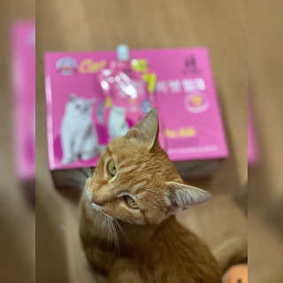 늉2님이 올린 리뷰 사진 2