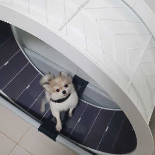 햇살나래님이 올린 리뷰 사진 1