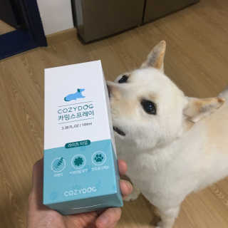 코지독 카밍스프레이 100ml — 4점을 준 리뷰어가 2020년 5월 올린 사용 사진