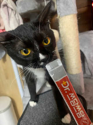 랑이님이 올린 리뷰 사진 3