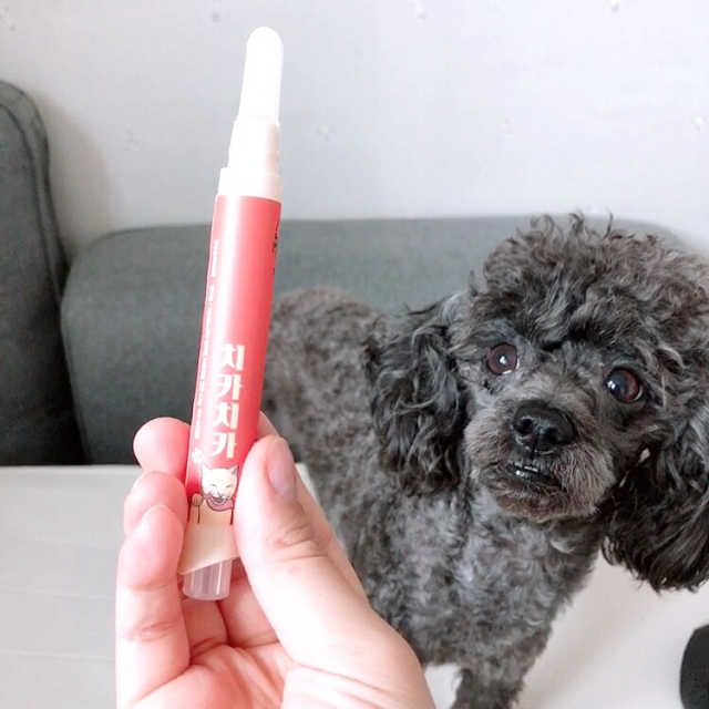 [5초양치] 멍.치카펜 or 냥.치카펜 or 치카오일펜 리뷰 사진