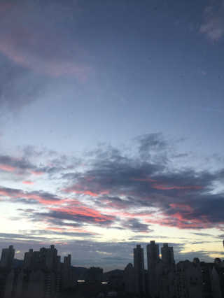 나연서님이 올린 리뷰 사진 3