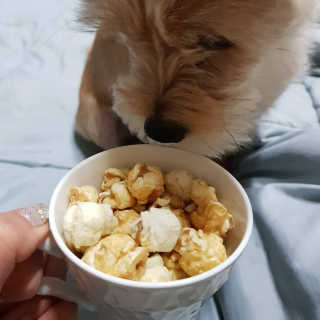 세지니힛님이 올린 리뷰 사진 4