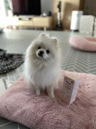 My Pet Care 모발과 모질 피부건강에 개좋아 — 5점을 준 리뷰어가 2020년 11월 올린 사용 사진