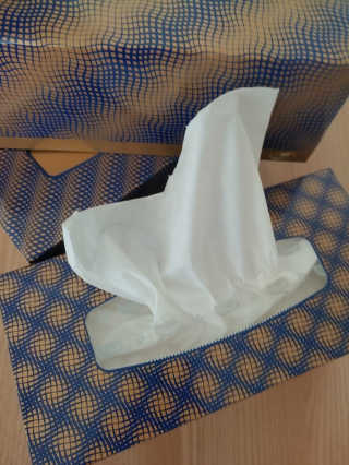 잘풀리는집 부드러운 모이스처 보습 미용 티슈 230매 — 5점을 준 리뷰어가 2020년 9월 올린 사용 사진