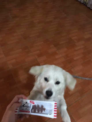 Nguyễn Thị Thu Hương님이 올린 리뷰 사진 2