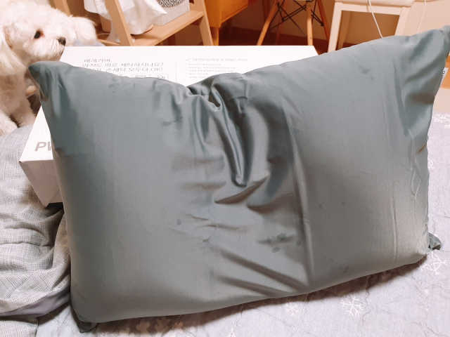 바네스데코 통째로 세탁 꿀잠 숙면 기절 마약모찌베개D 리뷰 사진
