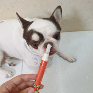 mini unni님이 올린 리뷰 사진 4