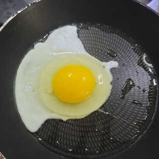 최강아키타견님이 올린 리뷰 사진 1