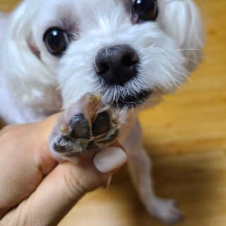 쮸디님이 올린 리뷰 사진 2