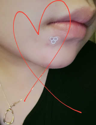 olivia님이 올린 리뷰 사진 4