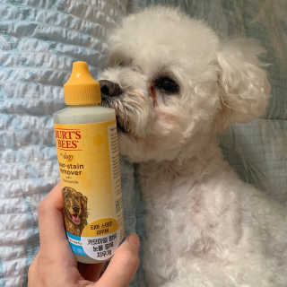 설량님이 올린 리뷰 사진 2