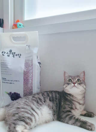Jihanette님이 올린 리뷰 사진 1