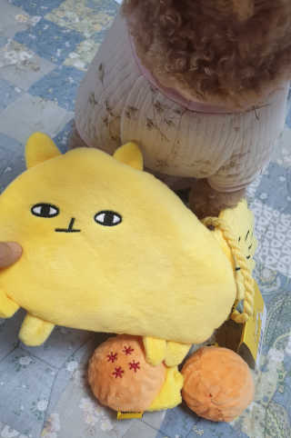 🐕삐딱이💖💖💖님이 올린 리뷰 사진 2