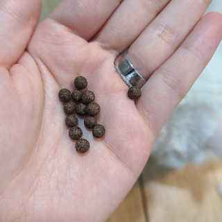 루토닉스 검은콩 서리태환 콩의두감 100g — 5점을 준 리뷰어가 2020년 8월 올린 사용 사진