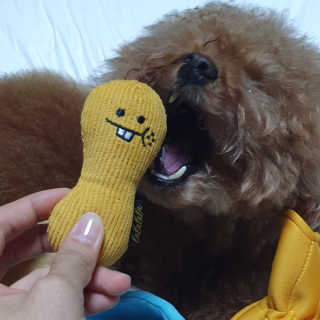 최정임님이 올린 리뷰 사진 2