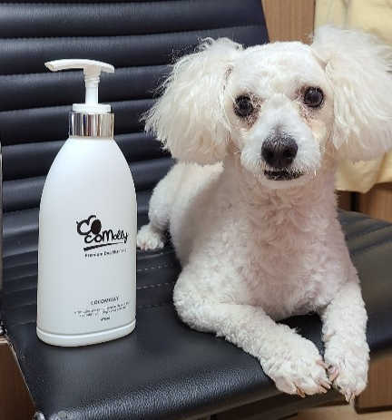 예민한 피부를 위한 코코몰리 All in one 자연유래 샴푸 리뷰 사진