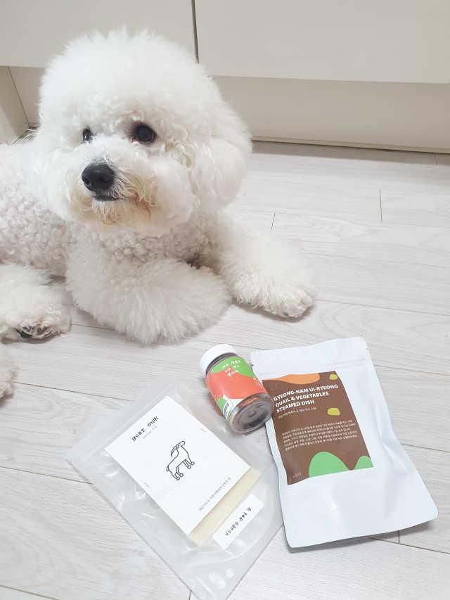 [어글어글] 반려견 친환경 간식 9종 세트 리뷰 사진
