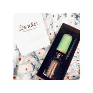 레나스 프리미엄 아로마 디퓨저 200ml  [1SET] — 5점을 준 리뷰어가 2020년 9월 올린 사용 사진