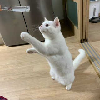 유짱님이 올린 리뷰 사진 4