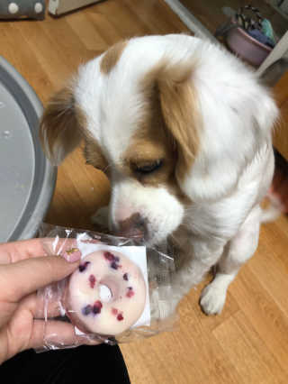 ㅇㅅㅇ님이 올린 리뷰 사진 2