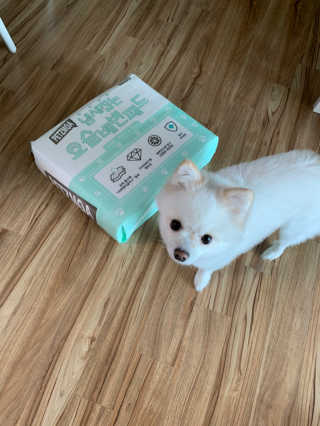 송이님이 올린 리뷰 사진 1