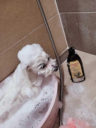바이에이미님이 올린 리뷰 사진 4